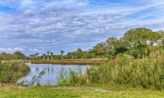 Tarpon Pond Casa | Hermosa casa de campo remodelada! Porche w / vista al agua! La ubicación es perfecta!