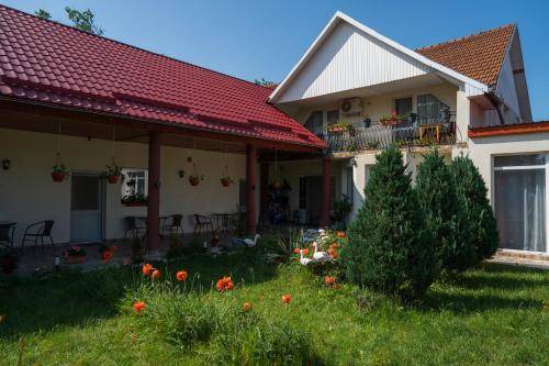 Tasnad Cama Y Desayuno | Bed & Breakfast ∙ 3 huéspedes
