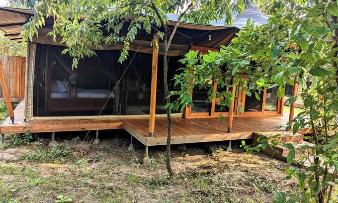 Mikumi Cama Y Desayuno | Bed and Breakfast - Double G Safaris & Camp Mikumi