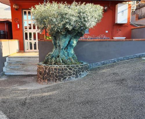 Ercolano Cama Y Desayuno | Bed & Breakfast Neapolis