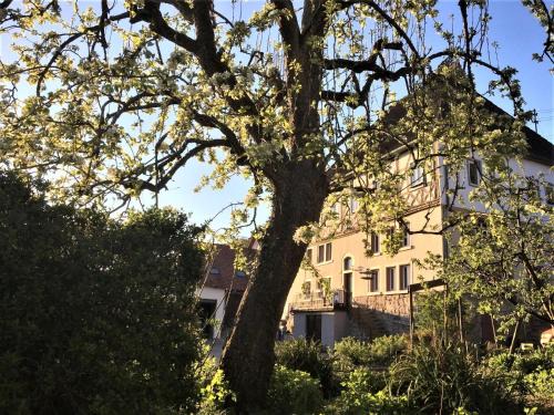 Lauda Apartamento | Beim Schloß Michel
