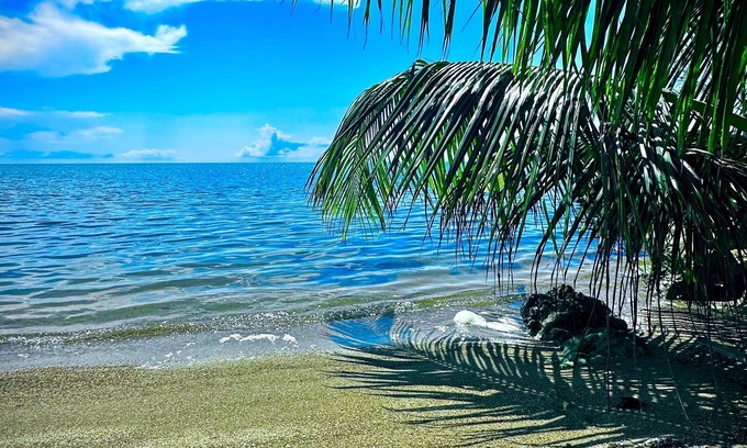 Forest Home Casa | Belize Bay Estate - private estate on the Caribbean shore.