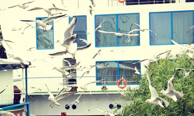 Bestepe Hotel | Bella Marina