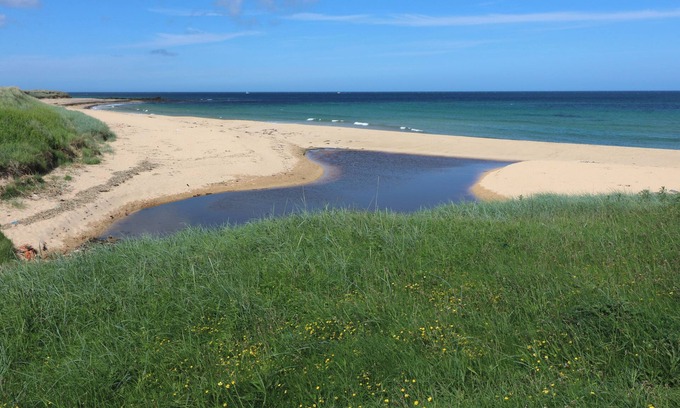 St Combs Cabaña | Bella's Beach Cottage