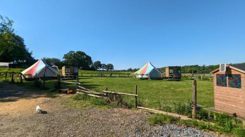 Narberth Otro | Belle Village, non electric ,Rent a bell tent, BEDDING NOT SUPPLIED