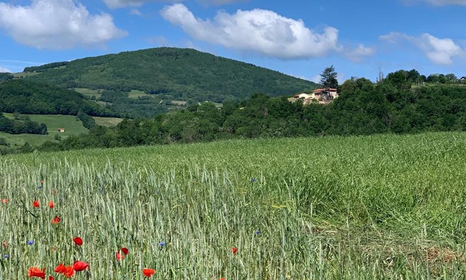Savigny Casa | Belle Vue