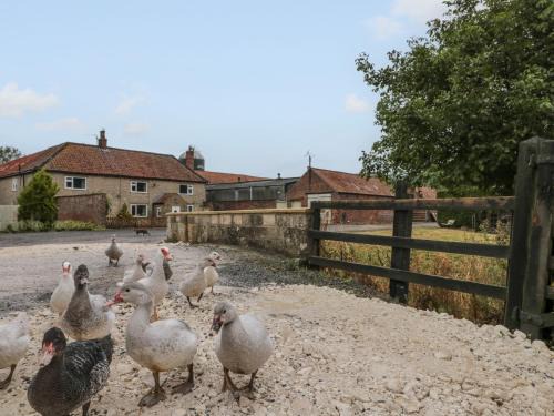 Malton Casa | Bellmanear Farm Cottage