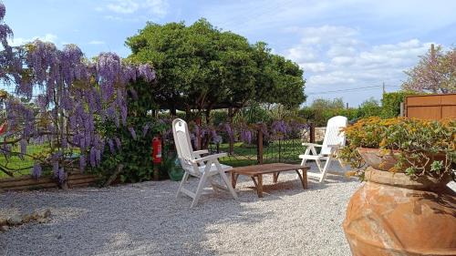 Castagneto Carducci Apartamento | BellOretta
