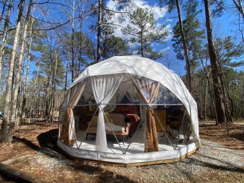 Lake Oconee Otro | Beloved Cabin - Artistic Dome