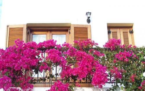 Lipsoi Apartamento | Benigna Studios