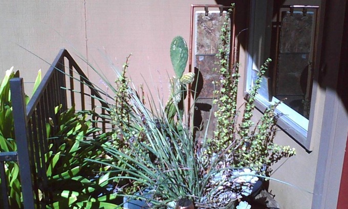 Bennett Valley Condominio | Bennett Valley home is a great location to explore Sonoma Valley.