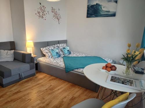 Torun Casa | Benny 3 na wyłączność