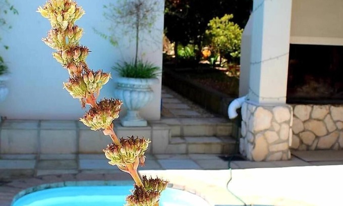 Swellendam Cama Y Desayuno | Bergview