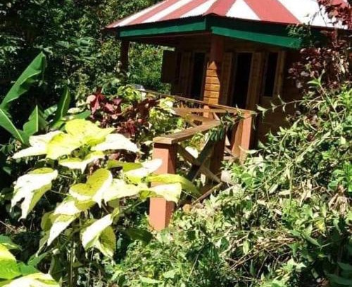 Fond Cani Casa | Berkey's Jungle Paradise Resort