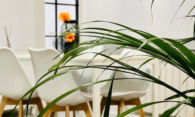 Nueva España Apartamento | BEST FLAT NEAR REAL MADRID STADIUM