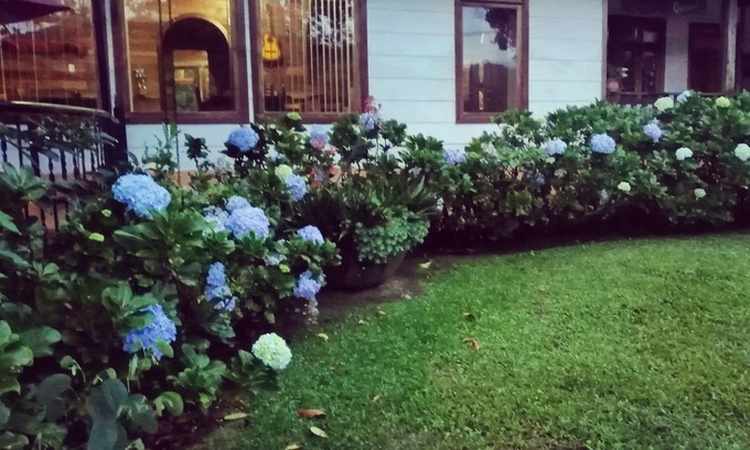 Pacuare Reserve Cama Y Desayuno | La mejor experiencia de inmersión en una granja en Finca Queveri