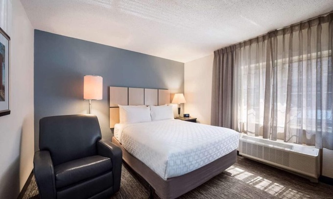Plano Complejo | Best Place to Stay in Texas! 4 Modern Units, Pet-friendly, Full Kitchen!