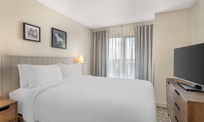 Downtown San Antonio Hotel | Best Value, Quality Stay! w/ Outdoor Pool, Near Elmendorf Lake Park