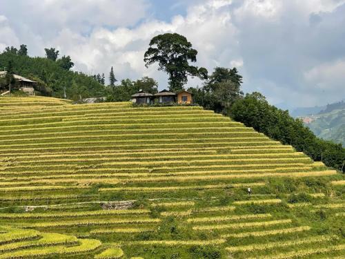 Sa Pa Casa | Best View Homestay