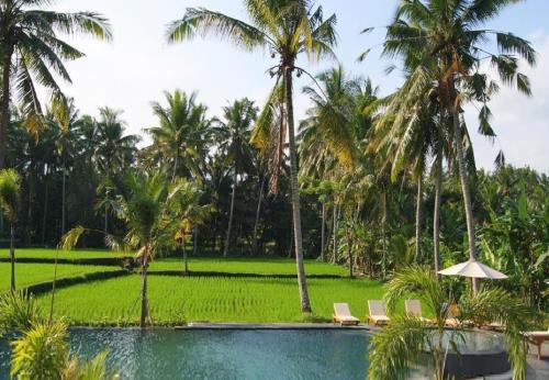 Kemenuh Complejo | Bhanuswari Villas Ubud