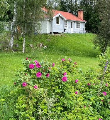 Jarvso Casa | Bialett
