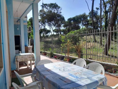 Marina di Bibbona Apartamento | Bibbona Summer - Pineta 1 -