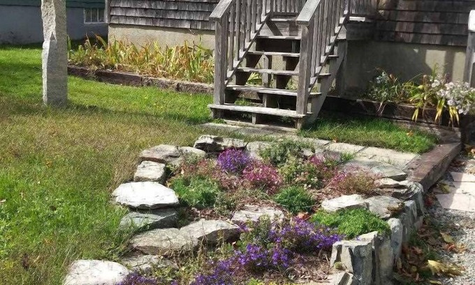 Bar Harbor Cabaña | Big Dragonfly - cozy and quaint in the village of Bar Harbor
