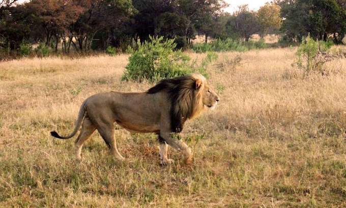 Mookgopong Cabina | Big game viewing, rich variety of wildlife