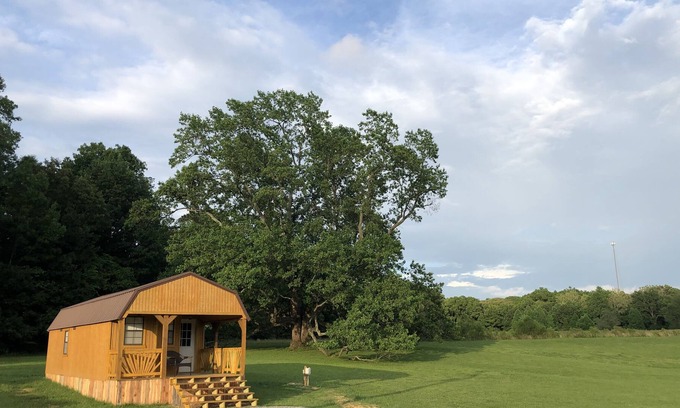 Marion Cabina | Big Tree Little Cabin