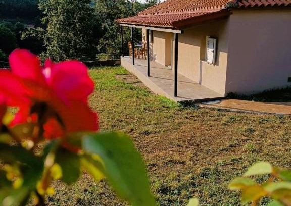 Vlachava Casa | Billy's house