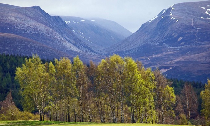 Aviemore Casa | Birchdale Cottage offer you the highest quality, comfort and style for 4 people