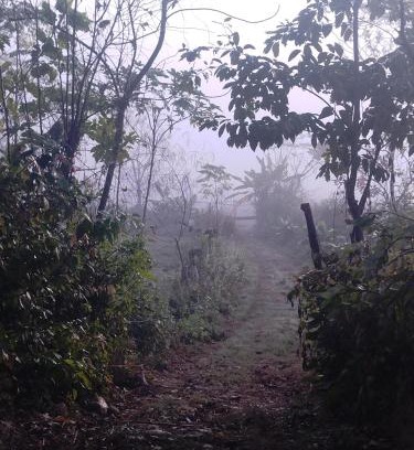 Chitwan District Otro | Bird Sanctuary Farm House