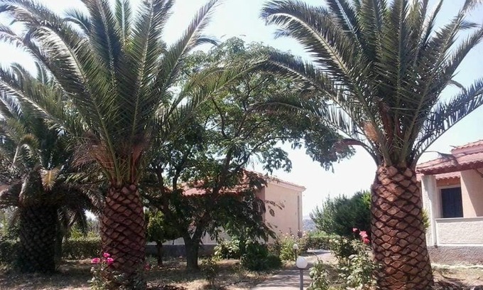 Skala Kallonis Casa | Bird Watching Oasis Skala Kallonis
