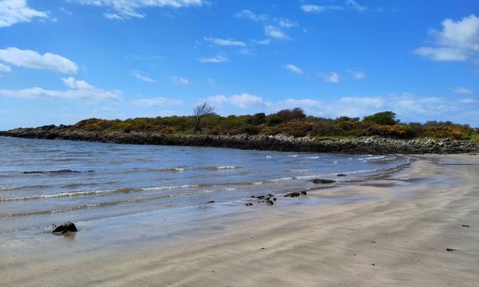 Castle Douglas Cabaña | Birds Nest - a cottage that sleeps 2 guests in 1 bedroom