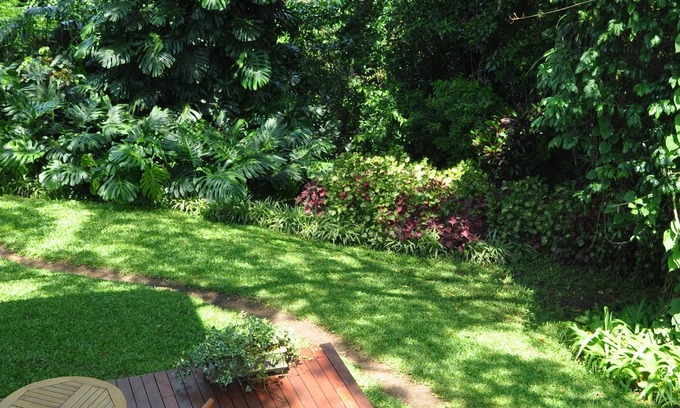 uMlalazi Cama Y Desayuno | Birds of paradise B&B