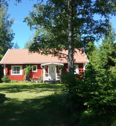 Vimmerby Cabina | Björkslingan