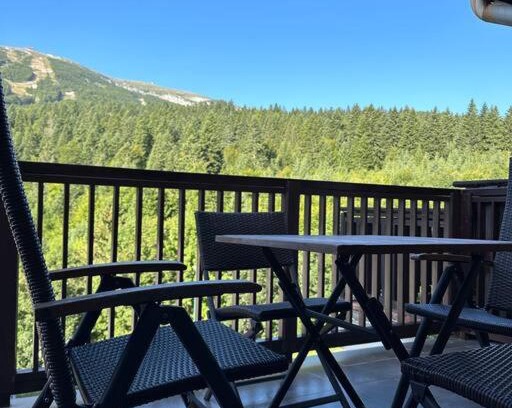 Bjelasnica Apartamento | Bjelasnica with amazing view