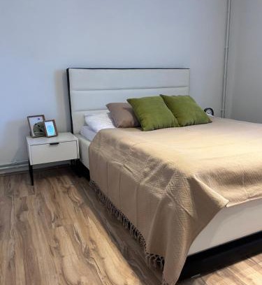 Zrenjanin Apartamento | Black and Ginger Residence