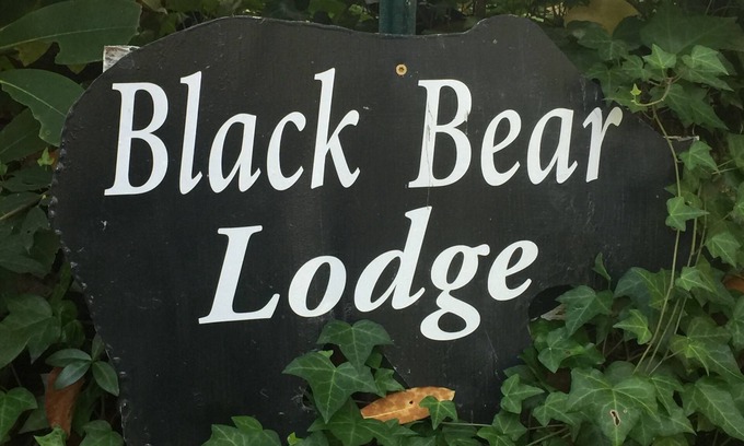 Candler Cabaña | Glenn Acres Black Bear Creekside Cottage- Montañas-Pintoresco-Tranquilo-Relajante
