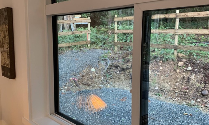 Regional District of Nanaimo Cabaña | Black Bears Den - Cozy cottage in the woods pet friendly and hiking at your door