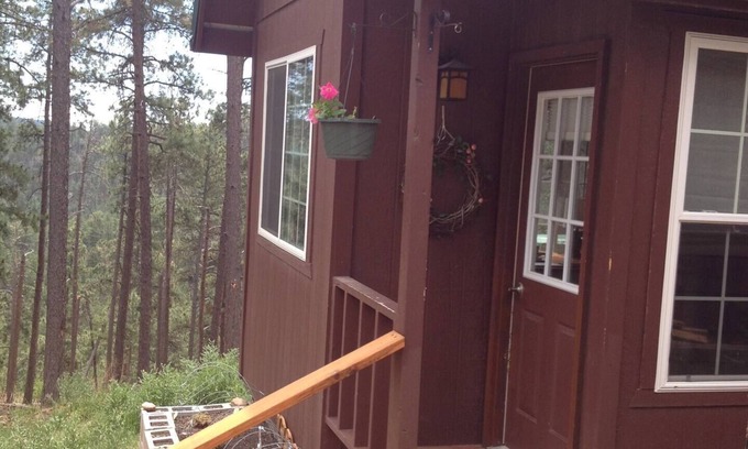 Rapid City Cabaña | Black Hills Mountain Top Cabin with Great Views