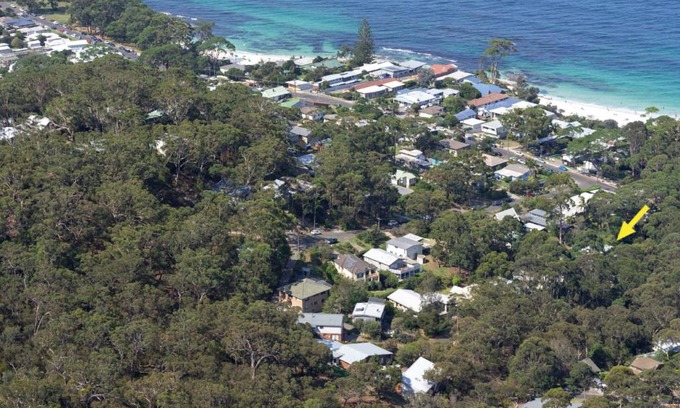Hyams Beach Casa | Black Wattle at Hyams Beach