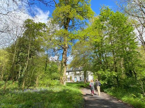 Abbeyleix Casa | Blackhill Woods Retreat