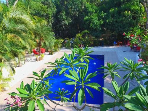 Montezuma Casa | Blanconejo de Montezuma