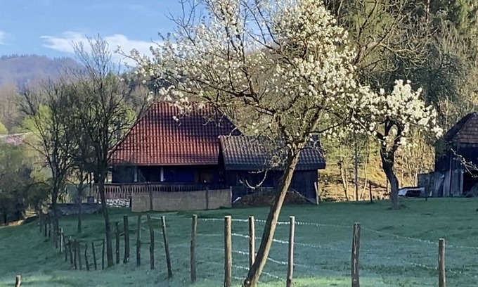 Viseu de Sus Casa | Blaues Haus im Schönen Weintal, Inmitten Einer Fantastischen Kulturlandschaft