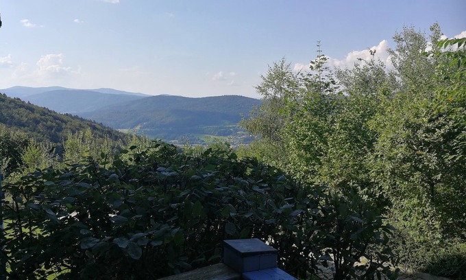 Schofweg Apartamento | Blick zum Lallinger Winkel