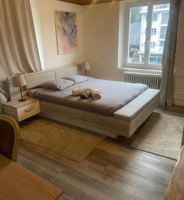 Binningen Apartamento | BLISS Basel Residence
