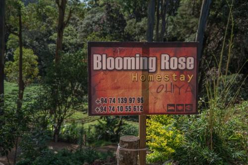 Ohiya Casa | Blooming Rose Homestay