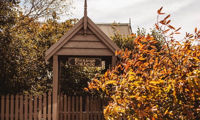 Blackheath Cabaña | Blossom Cottage Blackheath parejas familias gas registro fuego spa baño arbusto paseos