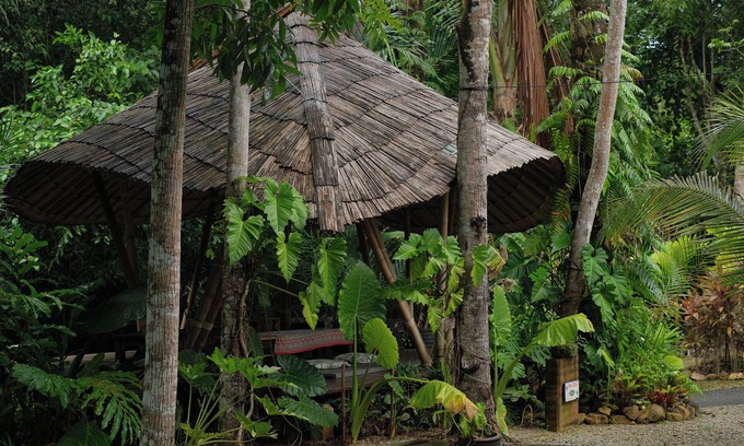 Ban Thung Hotel | Blu Monkey Pooltara Krabi Hotel and Villas